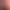 AI portrait of Maye Musk