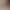 AI portrait of Maye Musk